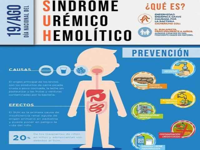 19 de Agosto Día de la Lucha en contra del Síndrome Urémico Hemolítico
